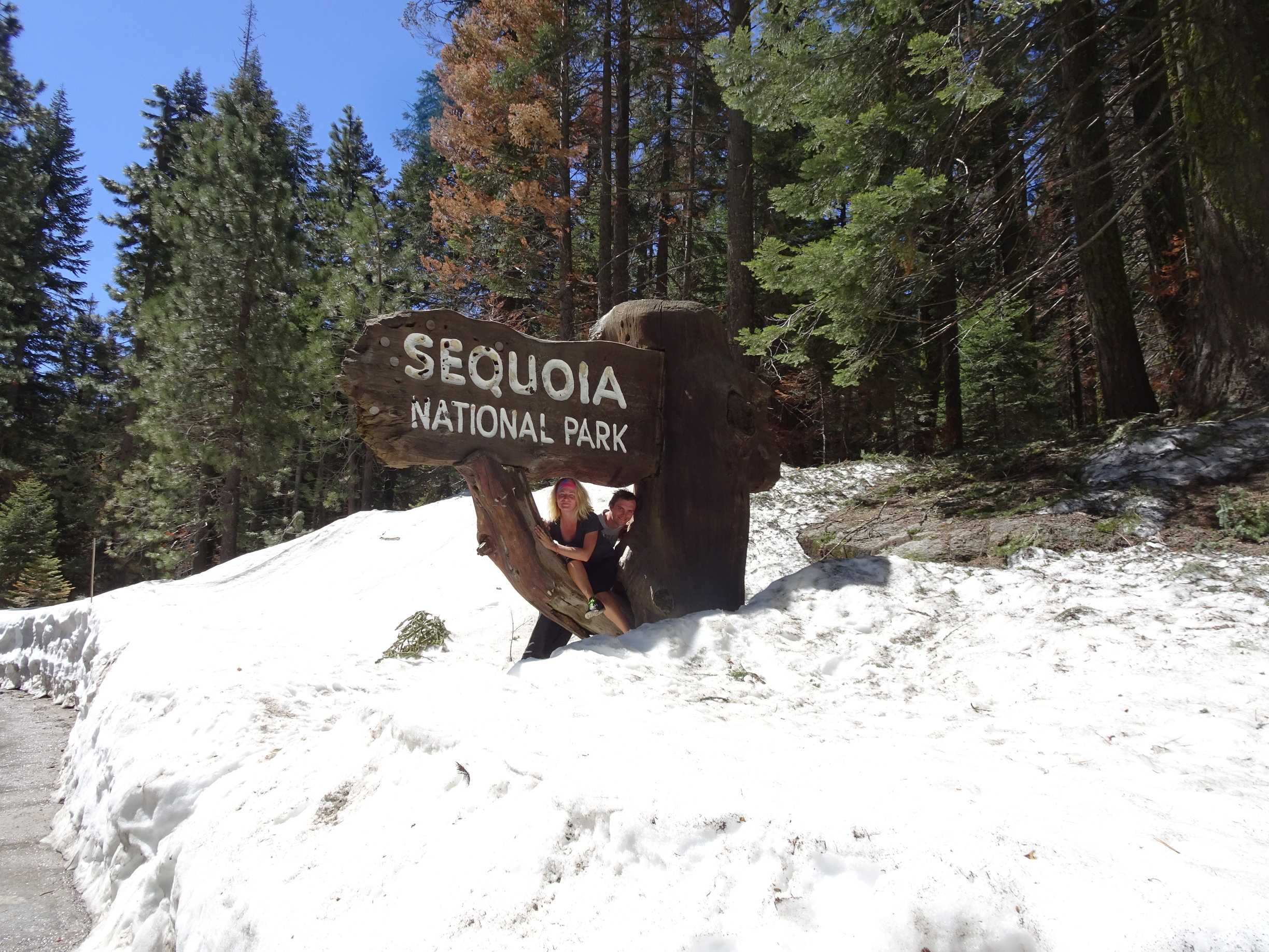 sequoia/DSC03380.jpg