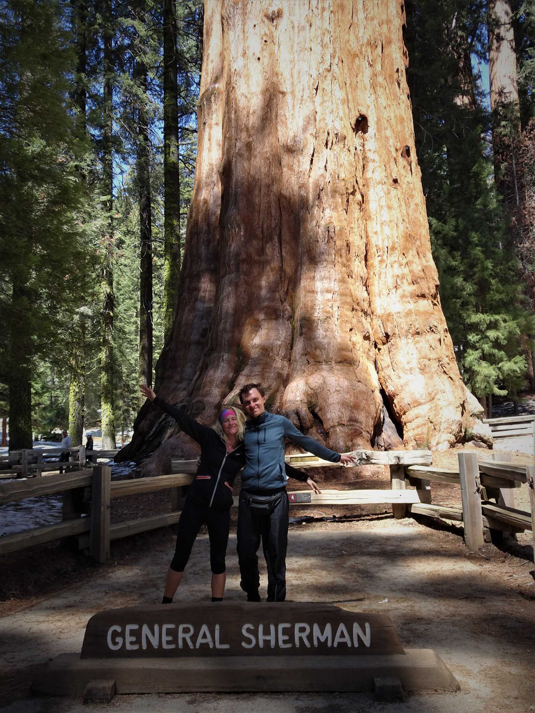sequoia/DSC03408.jpg